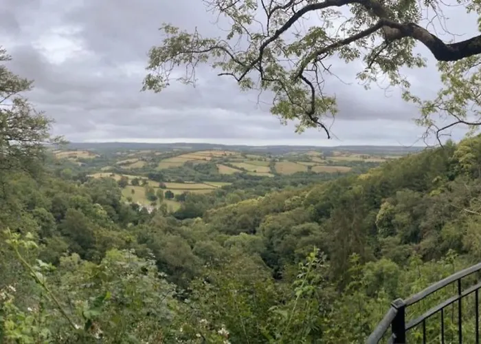 The Burrow Devon